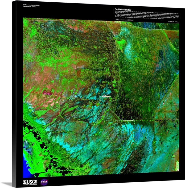 Florida Everglades - USGS Earth as Art Wall Art, Canvas Prints, Framed ...