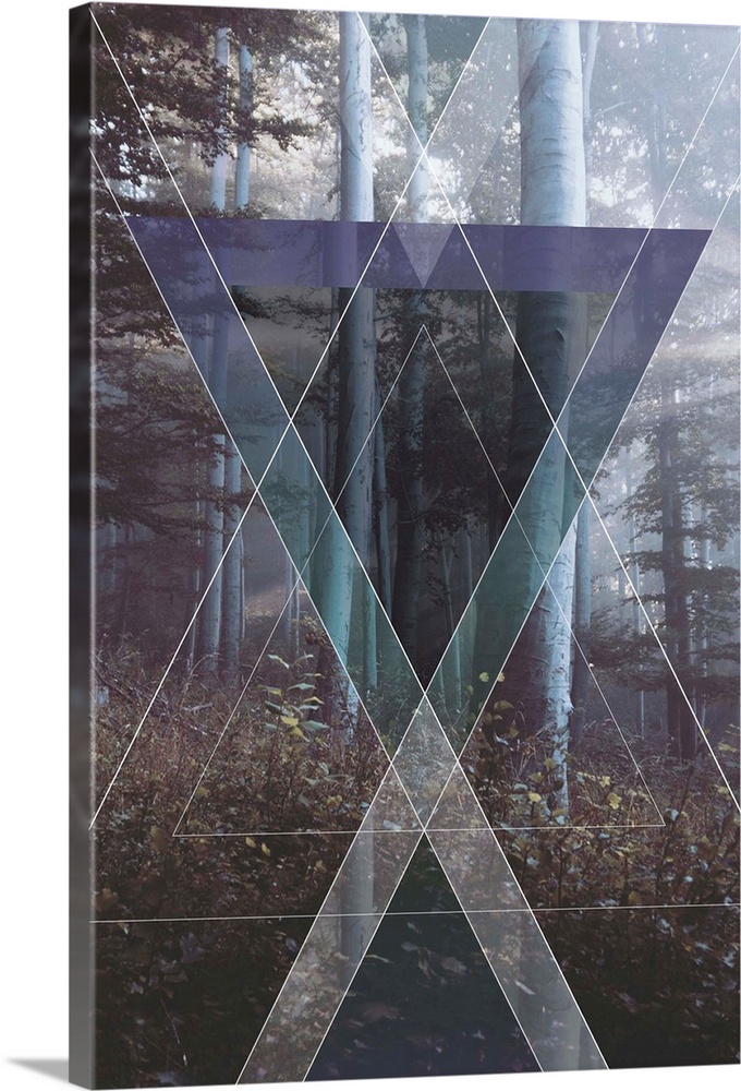 Contemporary artwork of a formation of prisms against a background of a forest.