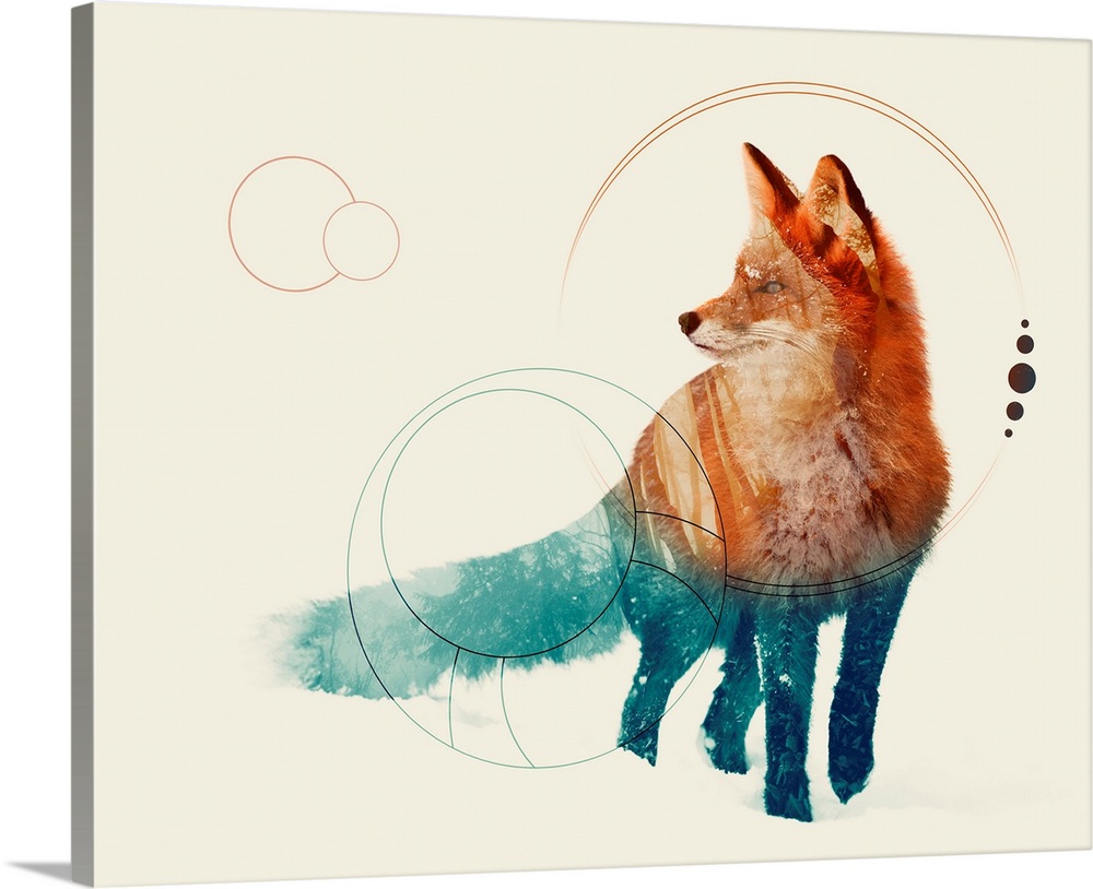 Double exposure artwork of a fox and a forest with circular shapes.