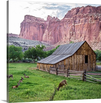 Gifford Homestead at Capitol Reef National Park