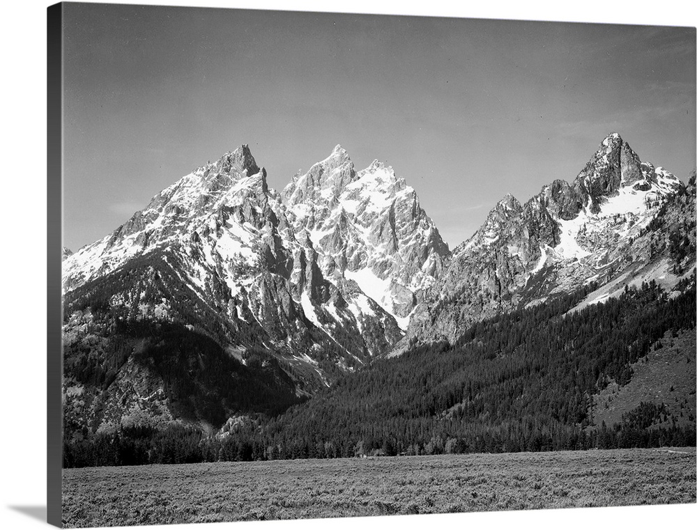 Grand Teton, grassy valley, tree covered mountain side and snow covered peaks.