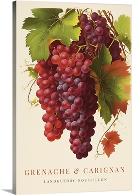 Grenache And Carignan - Retro Wine Advertising Poster