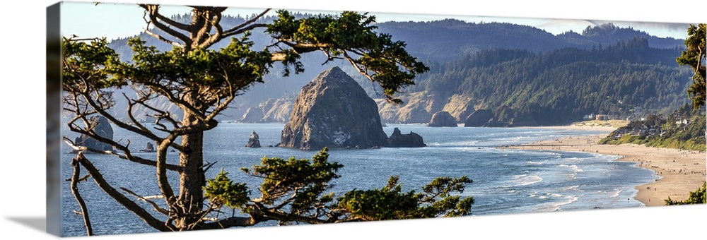 Landscape photograph of Cannon Beach through the trees with Haystack Rock in the distance, Oregon Coast