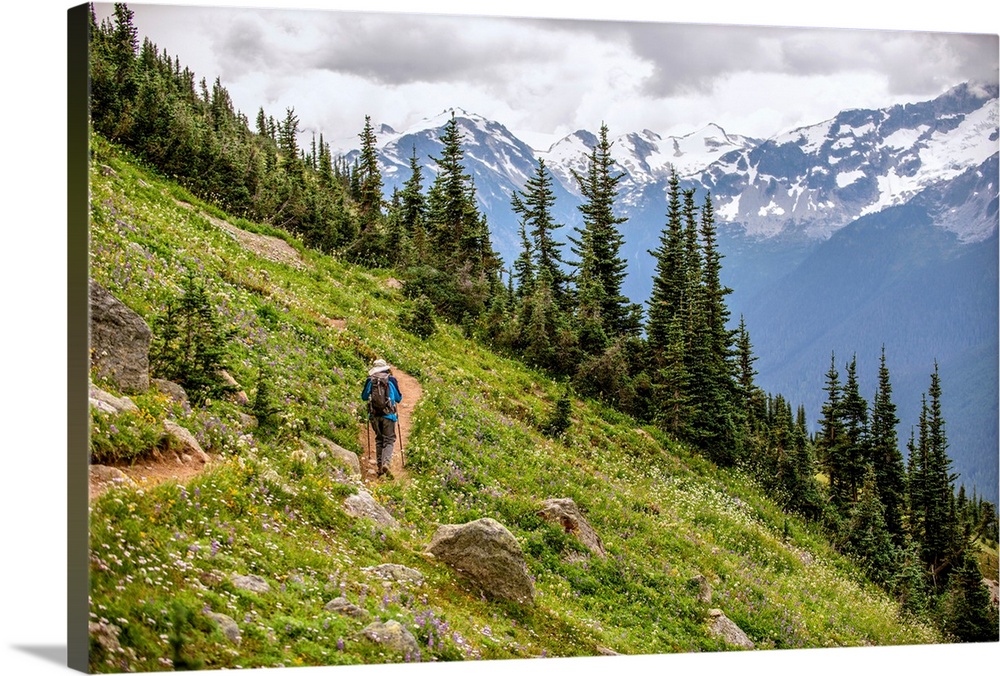 High Note Trail on Whistler Mountain in British Columbia, Canada.