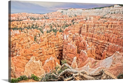 5-Pack Circle CaptureRock Formations in Bryce Canyon Amphitheater | 24x36 Utah Outdoor Contour Wall Decor CGSignLab 