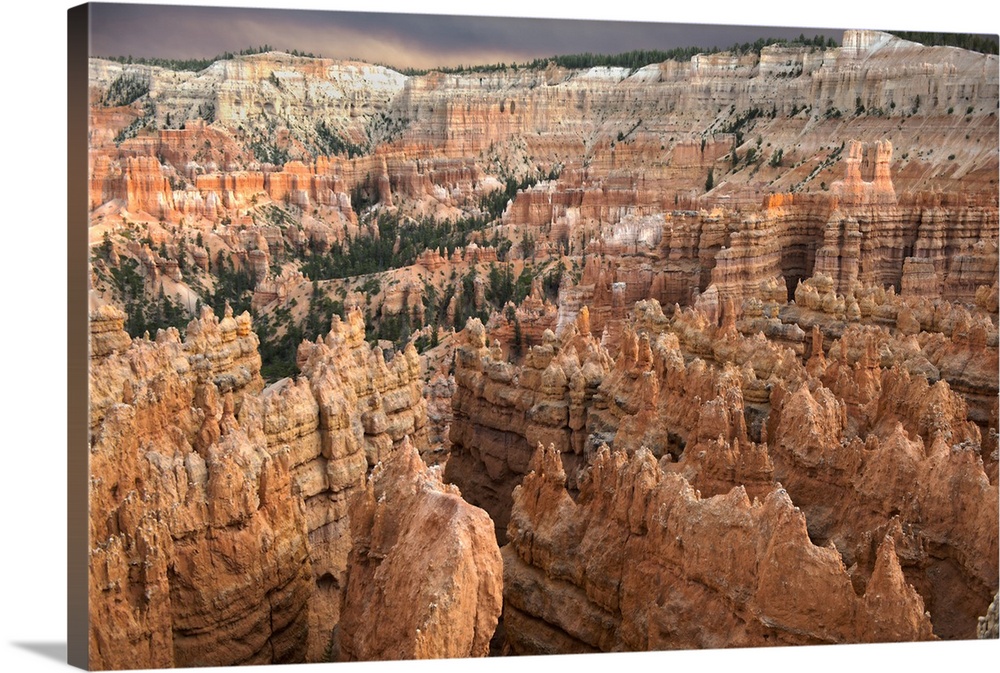 Orange sedimentary rocks form spire-like hoodoo structures in the Bryce Canyon Amphitheater in Bryce Canyon National Park,...