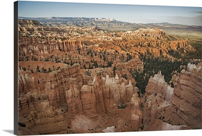 Hoodoos in the Amphitheater of Bryce Canyon National Park, Utah