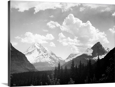 In Glacier National Park, Looking Across Forest To Mountains And Clouds