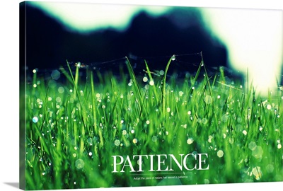Inspirational Motivational Poster: Adopt the pace of nature; her secret is patience