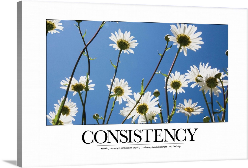 Consistency: Knowing harmony is consistency, knowing consistency is enlightenment. Tao Te Ching