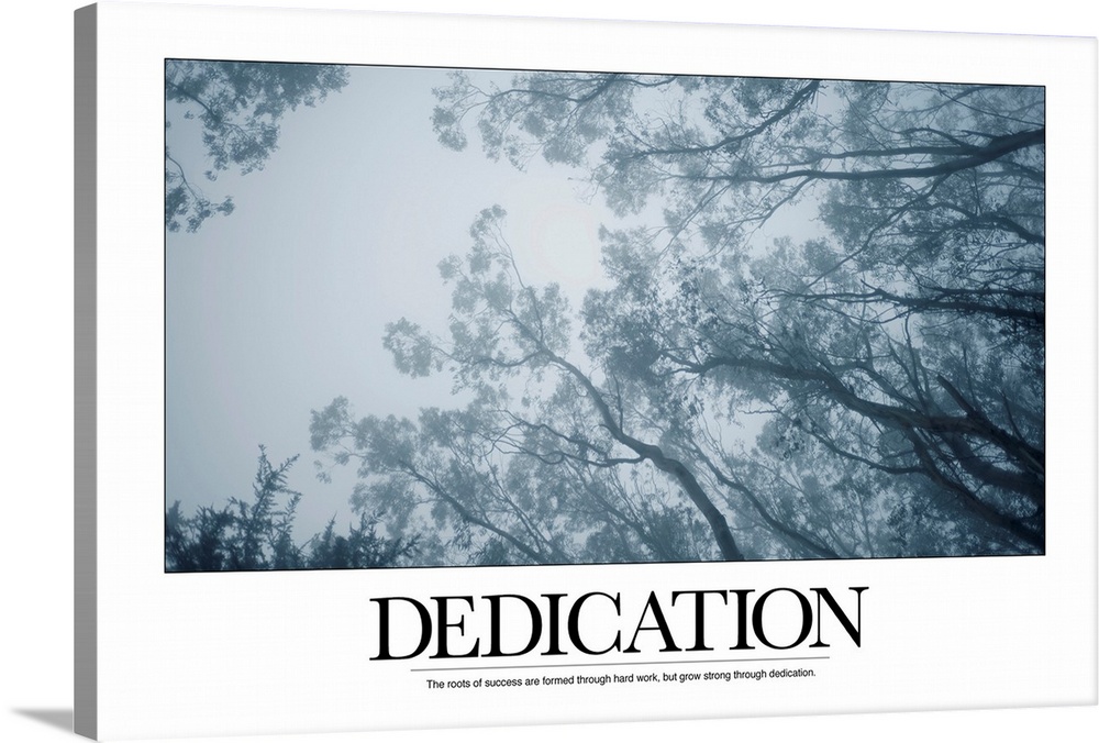Dedication: The roots of success are formed through hard work, but grow strong through dedication.