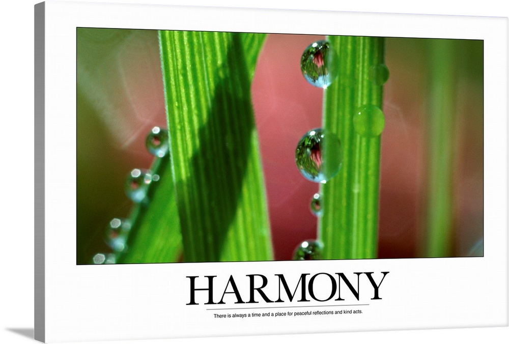 Harmony: There is always a time and a place for peaceful reflections and kind acts.