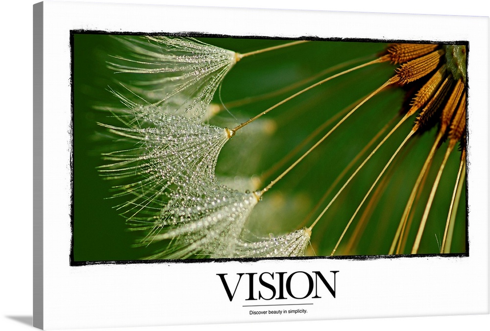 Vision Discover beauty in simplicity.