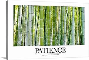 Inspirational Poster: Adopt the pace of nature; her secret is patience image thumbnail