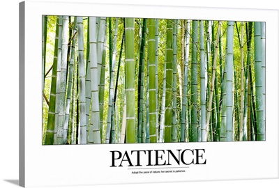 Inspirational Poster: Adopt the pace of nature; her secret is patience