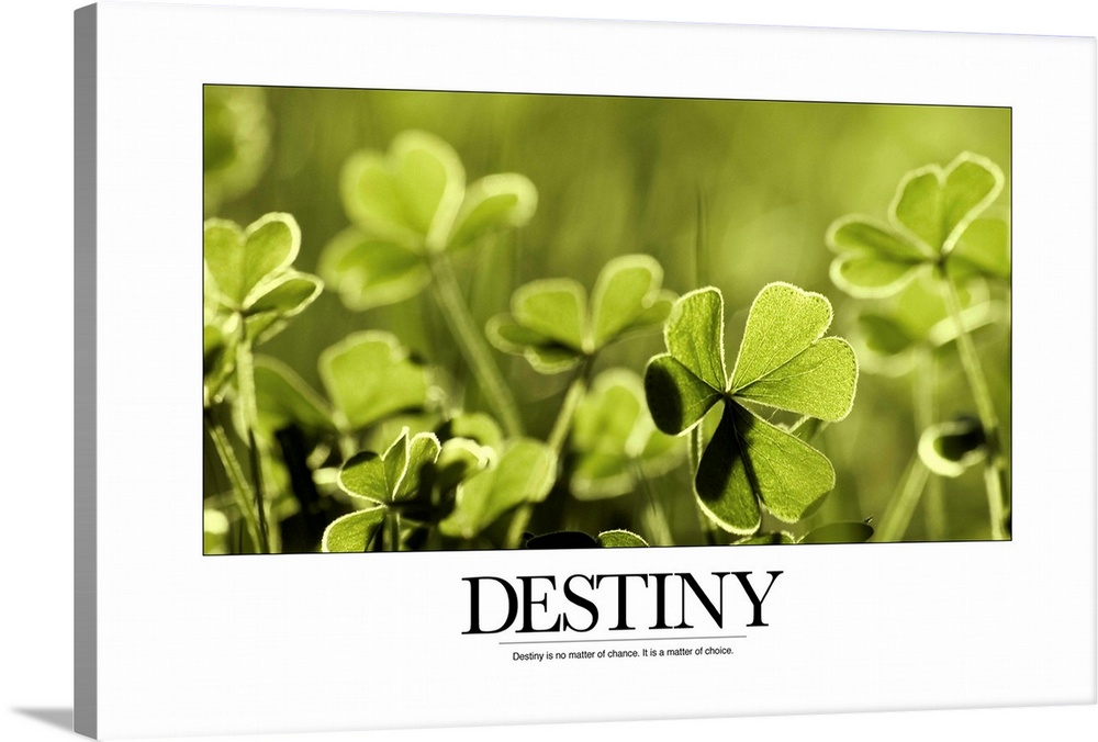 Destiny: Destiny is no matter of chance. It is a matter of choice.