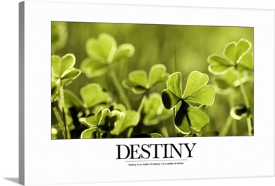 Inspirational Poster: Destiny is no matter of chance. It is a matter of choice
