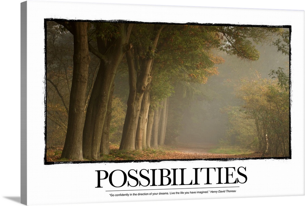 Inspirational Poster Possibilities Go Confidently In The Direction Of Your Dreams Wall Art Canvas Prints Framed Prints Wall Peels Great Big Canvas