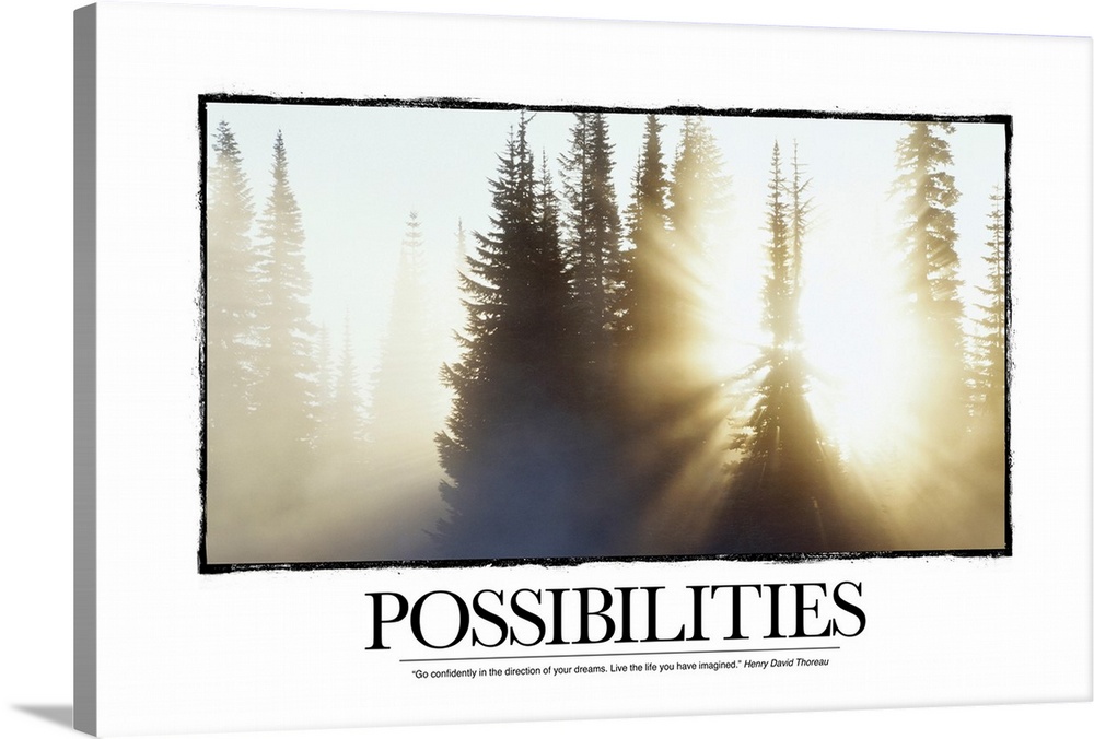 Oversized inspirational wall hanging of a forest of pines, silhouetted by the bright sun beaming through from behind.  The...