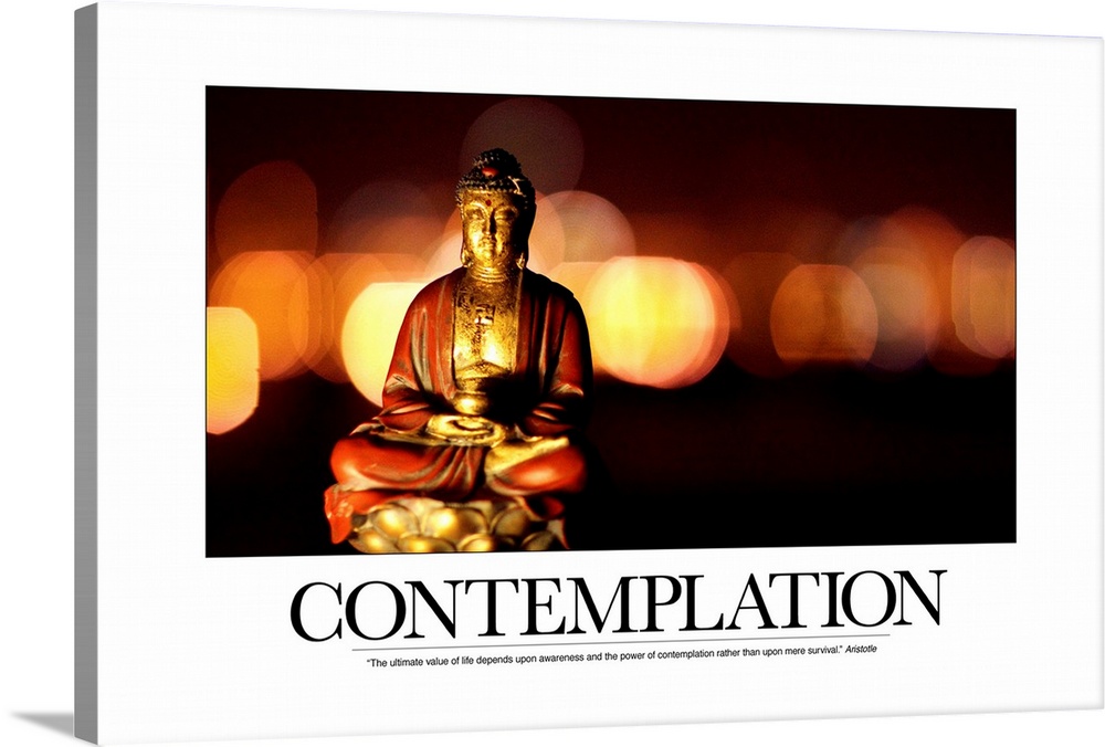 Contemplation: The ultimate value of life depends upon awareness and the power of contemplation rather than upon mere surv...