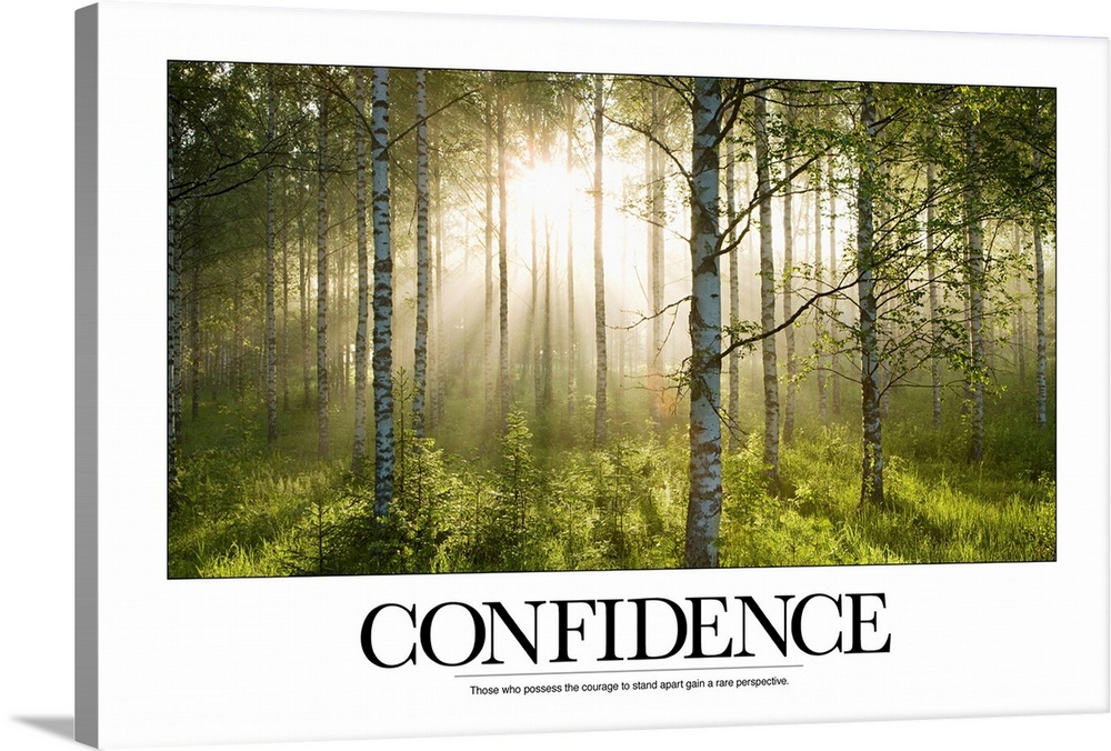 Wall art of a forest with sun shining through past leaves and tree trunks with the text: "Confidence: Those who possess th...