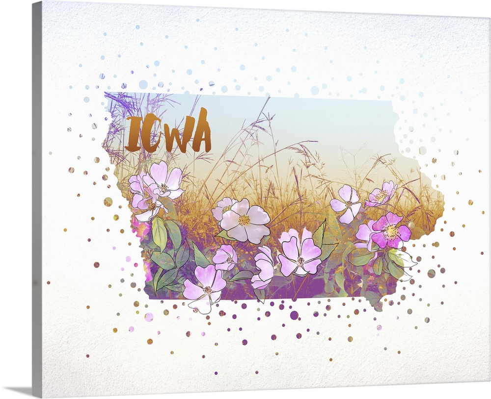 Outline of the state of Iowa filled with its state flower, the Wild Rose.