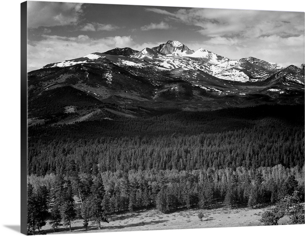 Long's Peak from North, Rocky Mountain National Park, trees in foreground, snow covered mountain in background.