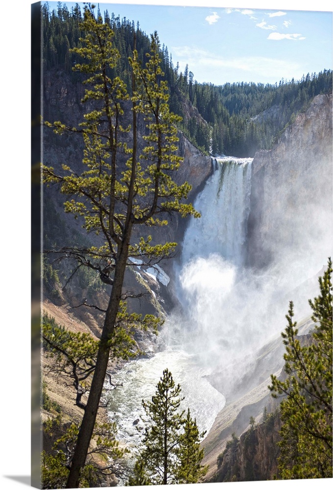 Lower Yellowstone falls is one of two major waterfalls on the Yellowstone River.