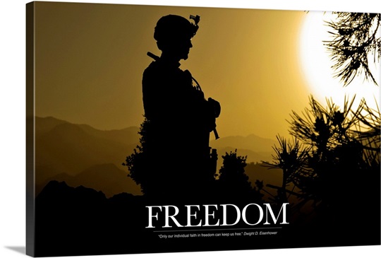 Military Motivational Poster: Freedom Wall Art, Canvas Prints, Framed
