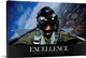 image thumbnail of Military Poster: Self-portrait of a pilot in the cockpit of a F-15E Strike Eagle