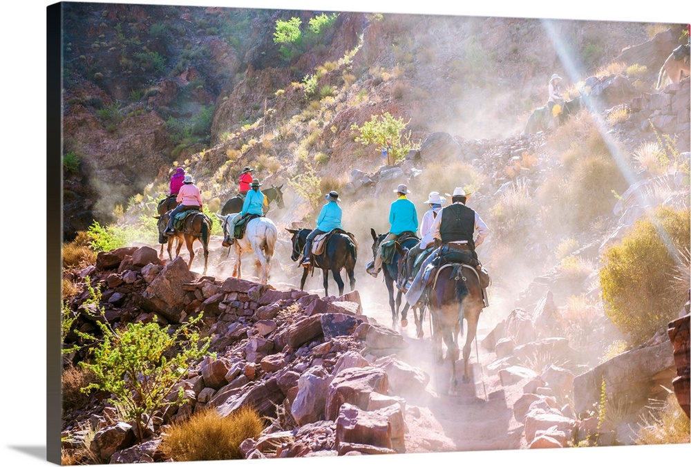 Mule and horseback tour in Grand Canyon National Park, Arizona.