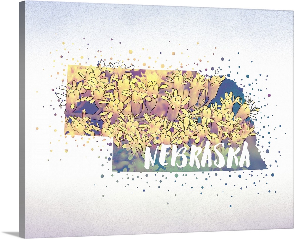 Outline of the state of Nebraska filled with its state flower, the Goldenrod.