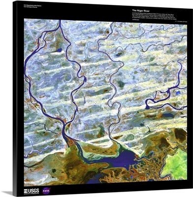 Niger River - USGS Earth as Art