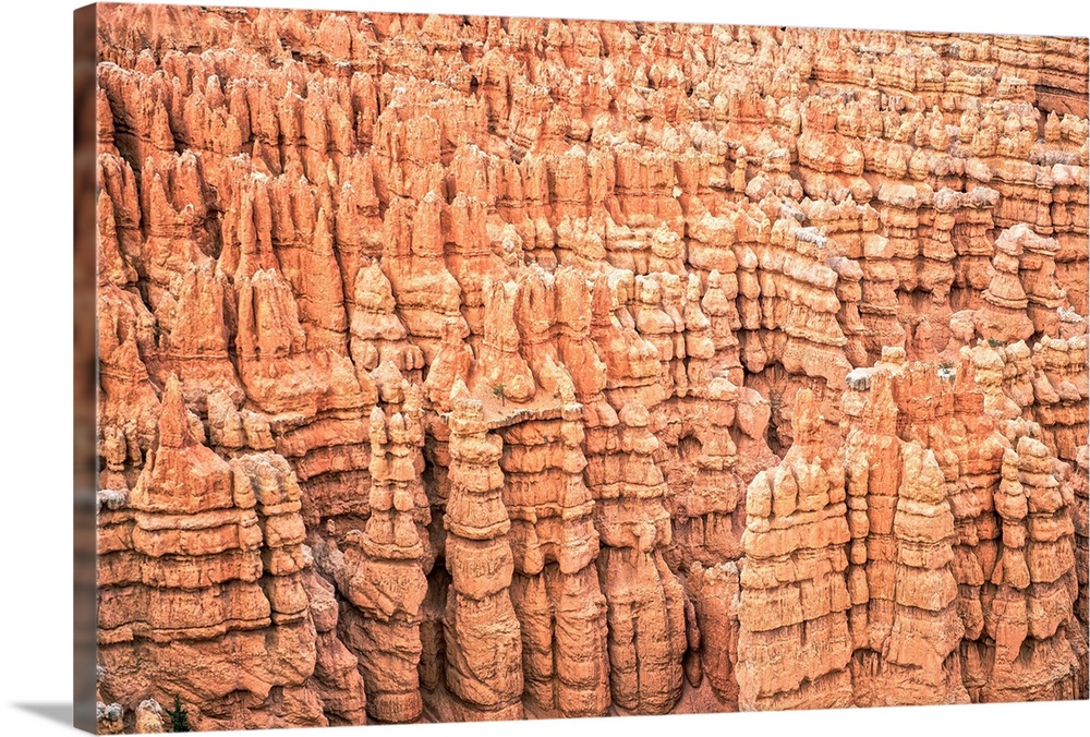 Sedimentary rock spires fill the Bryce Canyon Amphitheater in Bryce Canyon National Park, Utah.