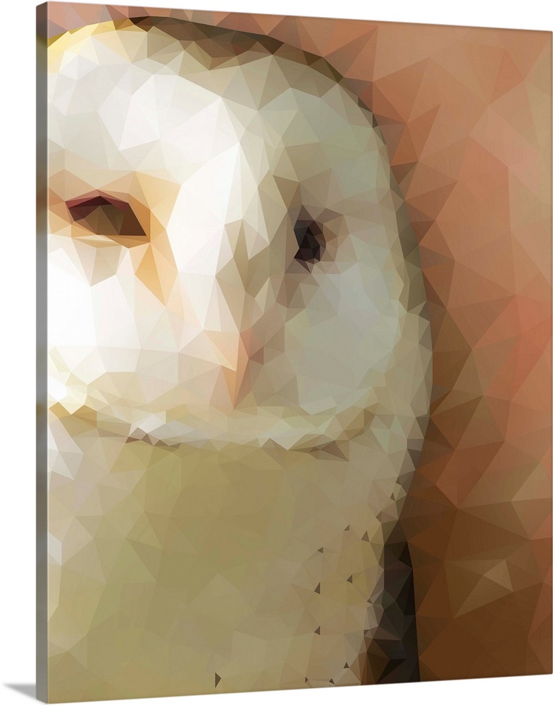 Portrait of a barn owl in low poly geometric shapes.