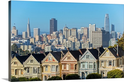 Painted Ladies with the San Francisco Skyline