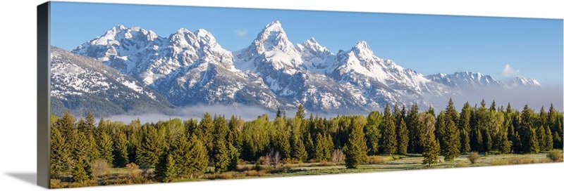 Panoramic Teton Range With Conifers, Grand Teton National Park, Wyoming ...