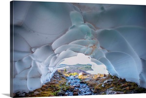 Paradise Glacier, Mount Rainier National Park, Washington image thumbnail