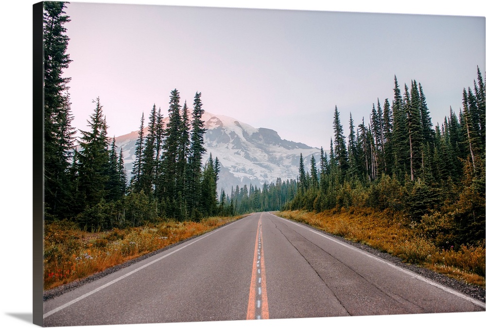 View of the road to Mount Rainier, Mount Rainier National Park, Washington.