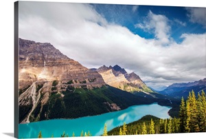 Peyto Lake, Caldron Peak, Banff National Park, Alberta, Canada Wall Art ...