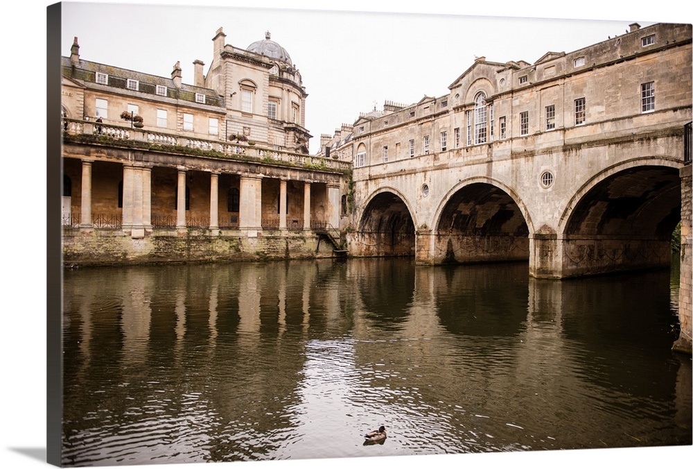 Photograph of three arched tunnels connected to the Pulteney Bridge in Bath, England, with a duck swimming in the foregrou...