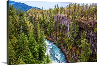 River Foam Of Cheakamus River, British Columbia, Canada