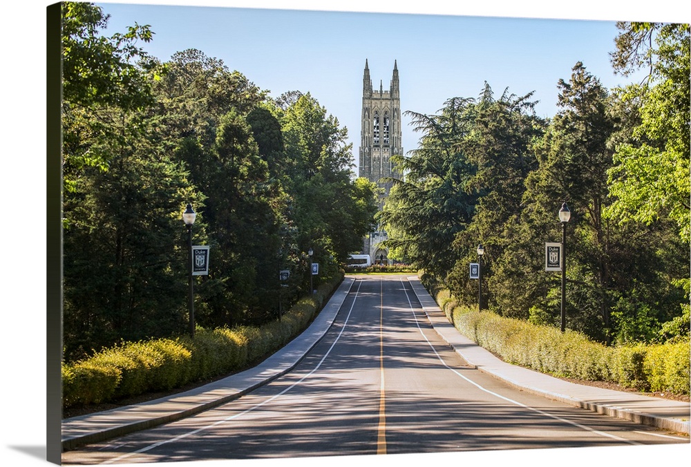 Road leading to the steeple of Duke Chapel, Duke University, Durham, North Carolina.
