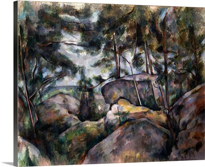 Rocks in the Forest