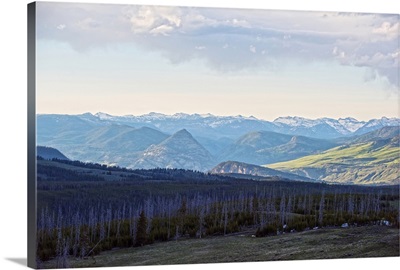 Scenic View of Wilderness and Rocky Mountains in Yellowstone National Park