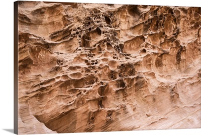 Solution Cavities In The Walls Of Capitol Gorge In Capitol Reef National Park, Utah