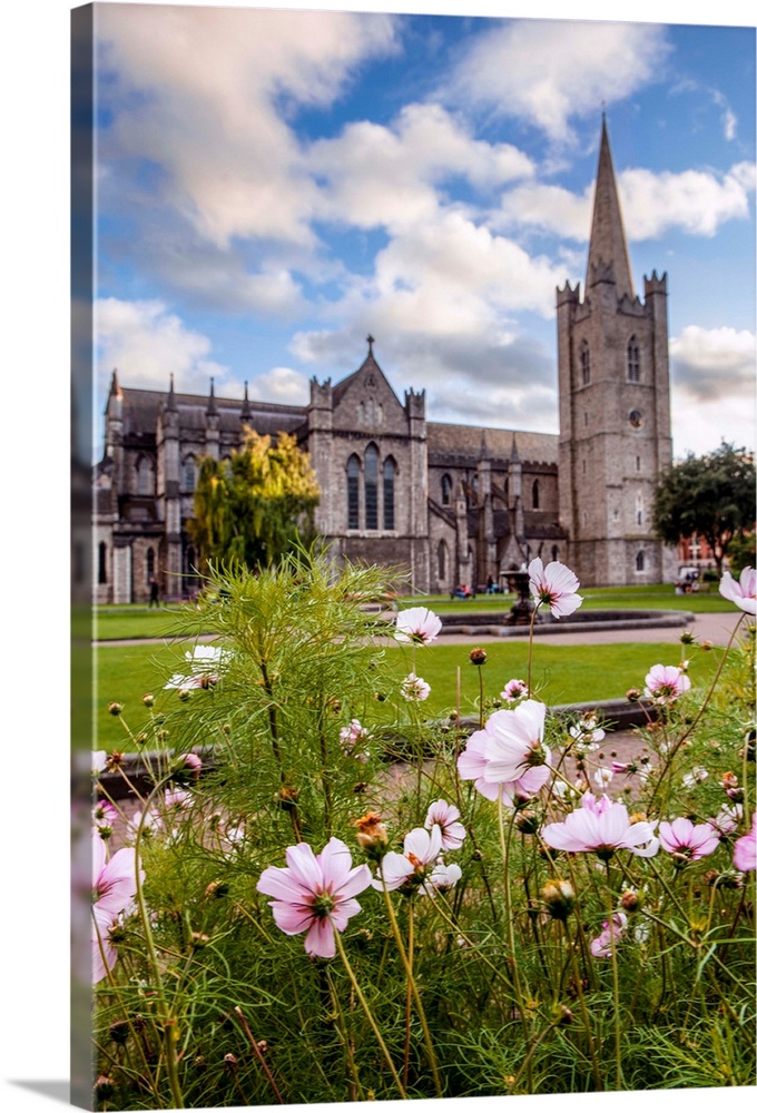 Photograph of St Patrick's Cathedral in Dublin, Ireland, with a field of pink and white wildflowers in the foreground.