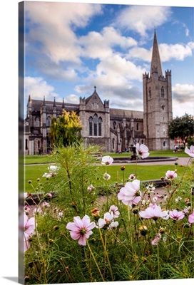 St Patrick's Cathedral And Flowers, Dublin, Ireland