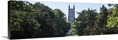 Steeple of Duke Chapel behind trees, Durham, North Carolina