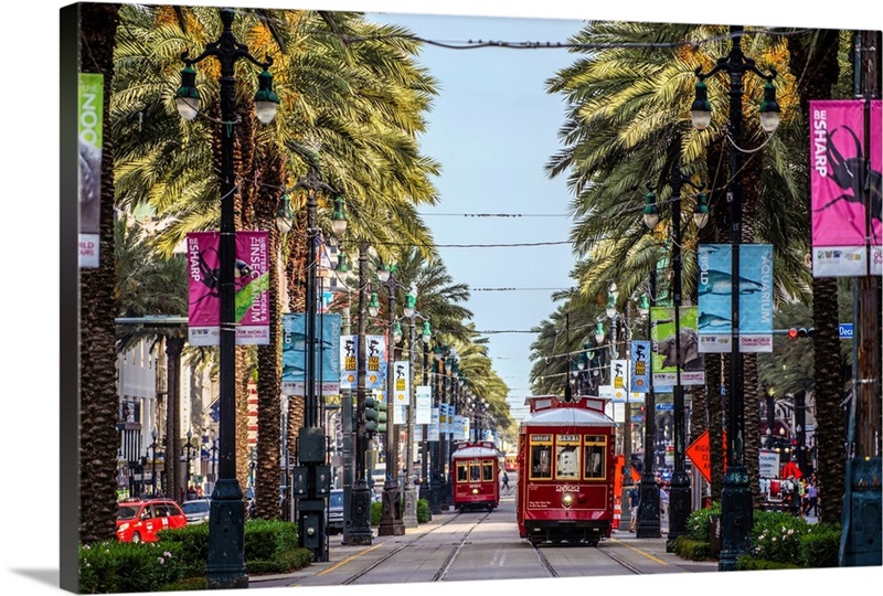 Streetcars In New Orleans, Louisiana | Great Big Canvas